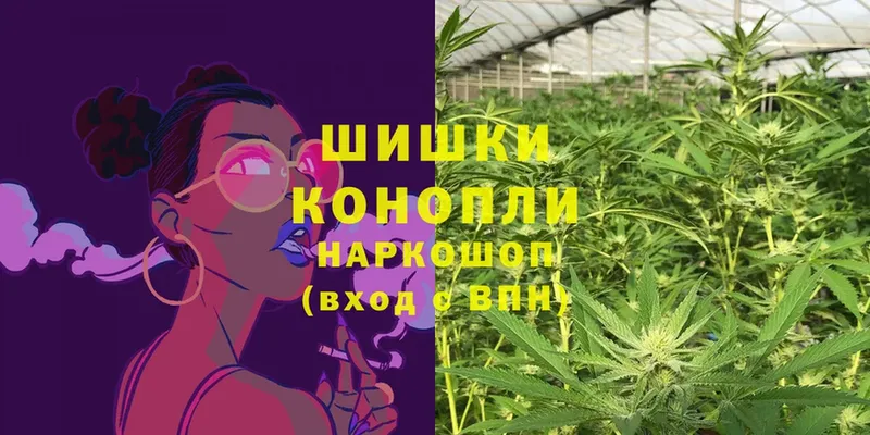 Бошки марихуана THC 21%  сколько стоит  Зубцов 